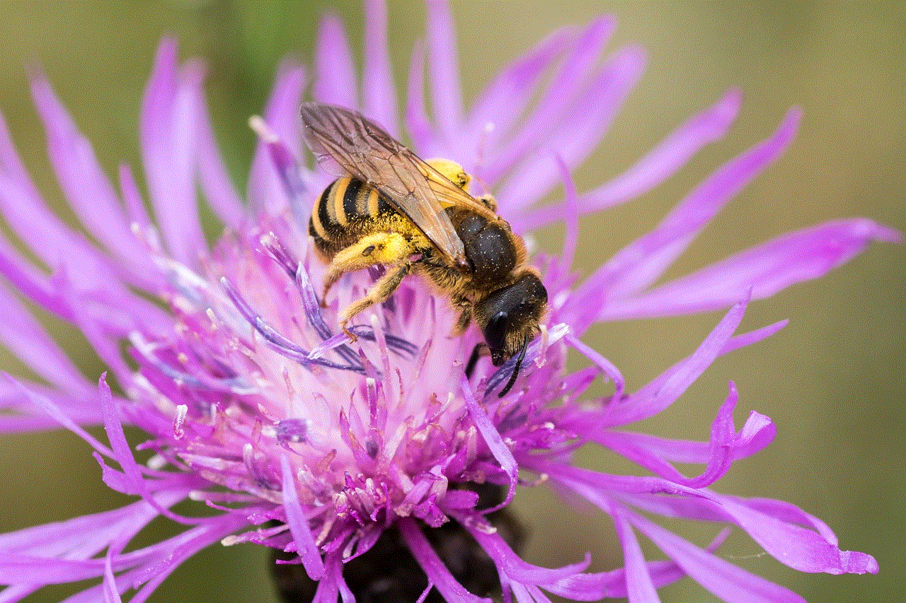 Bee Nature