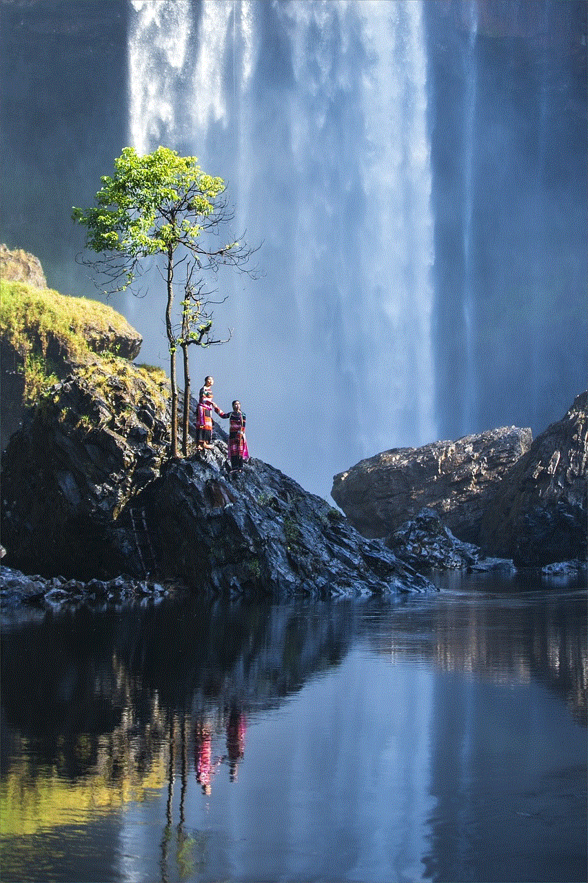 Waterfall Forest