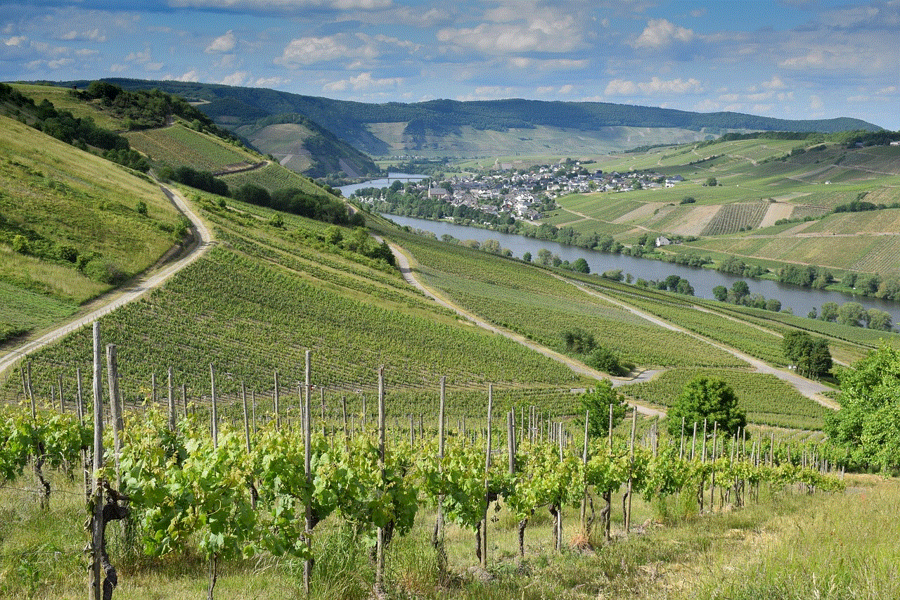 Germany Vineyard