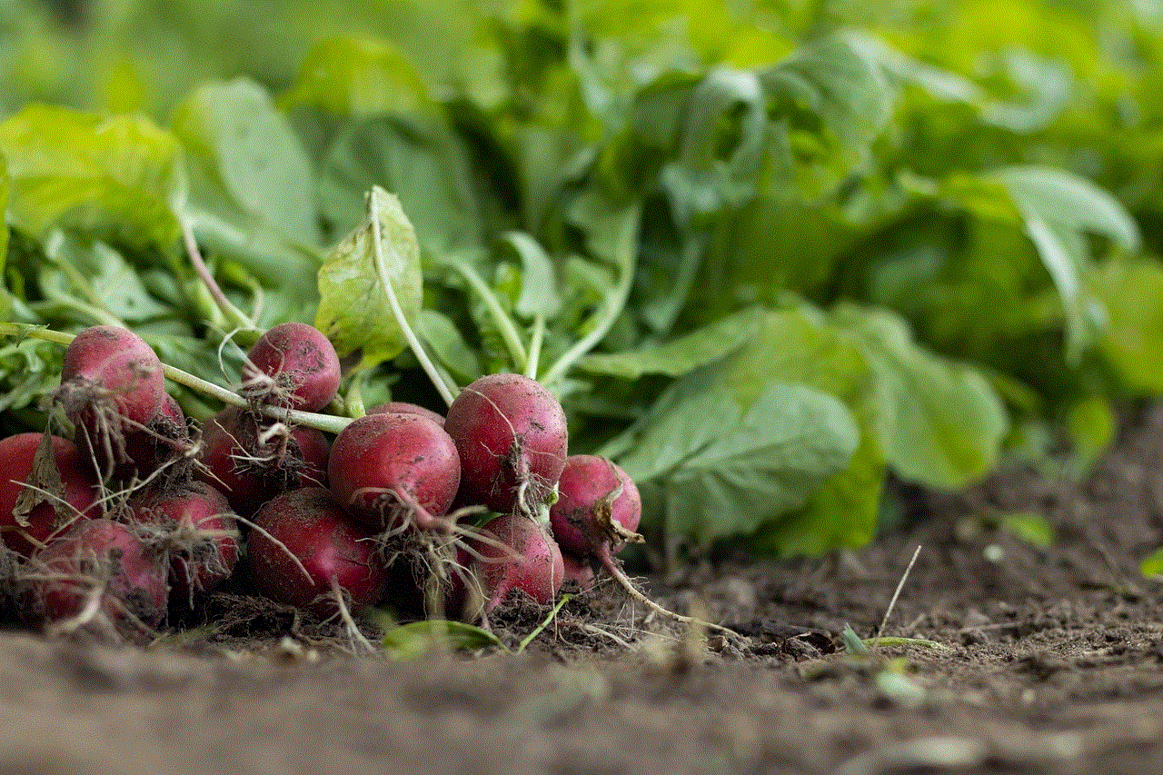 Garden Radish Vegetables