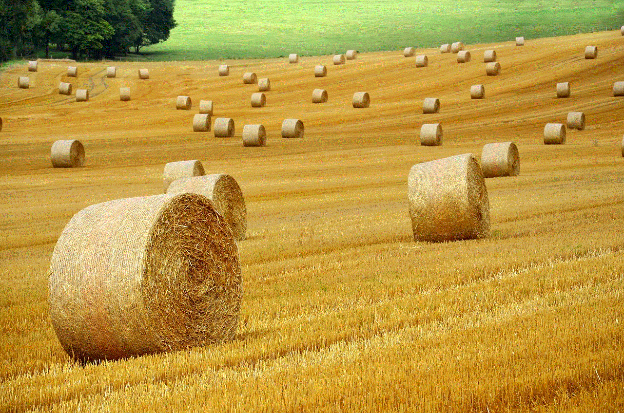 Hay Bales Harvest