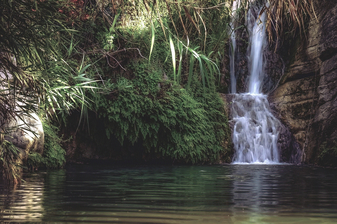 Waterfall Pond