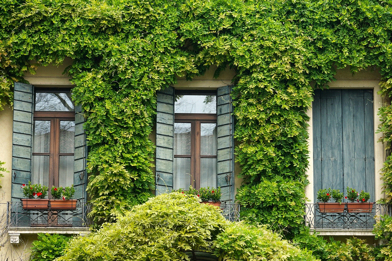 Window Ivy