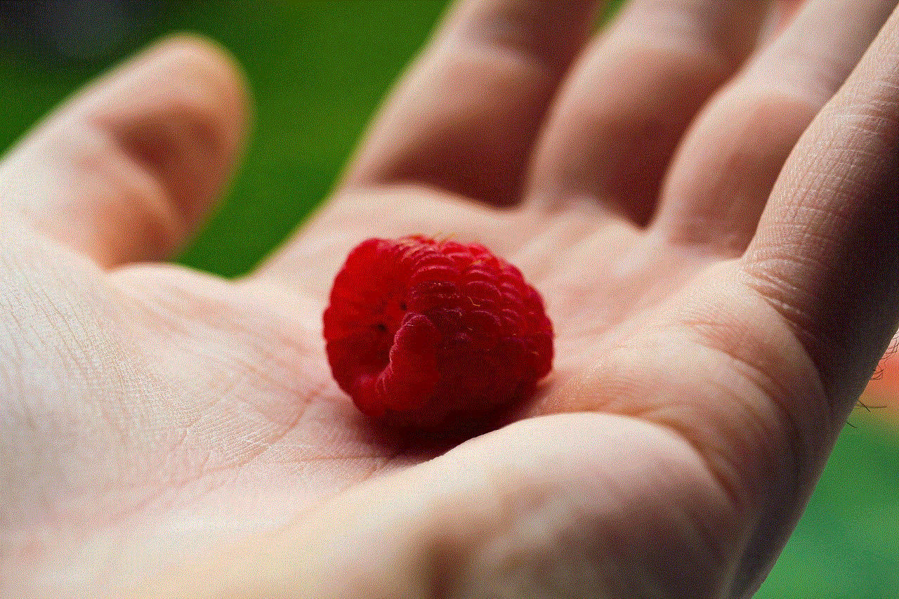 Fruit Raspberry