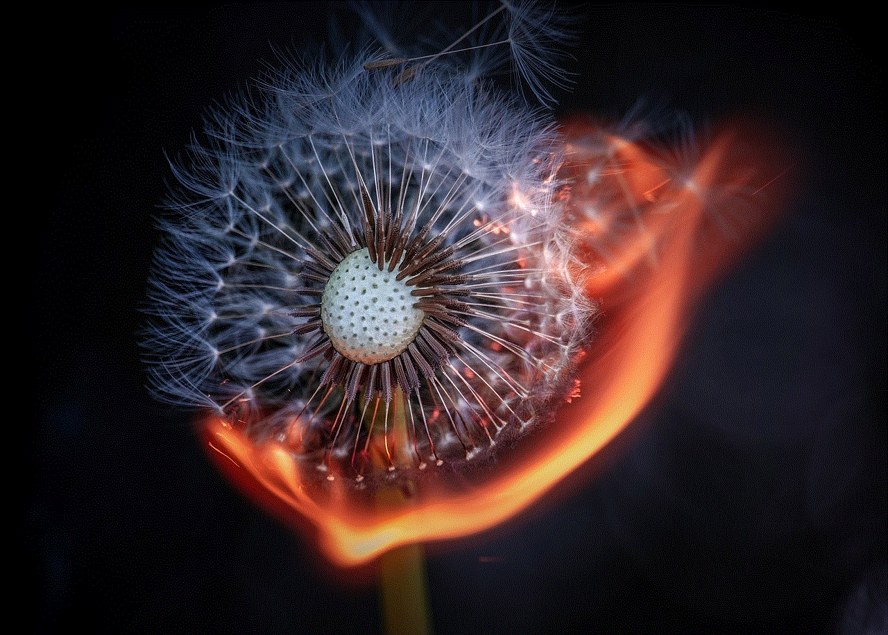 Dandelion Flower