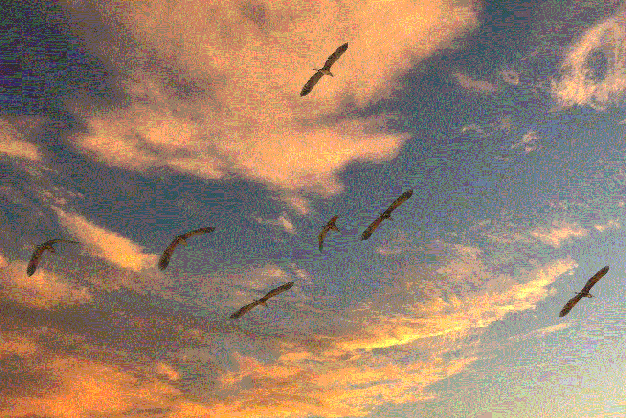 Migratory Birds Sky