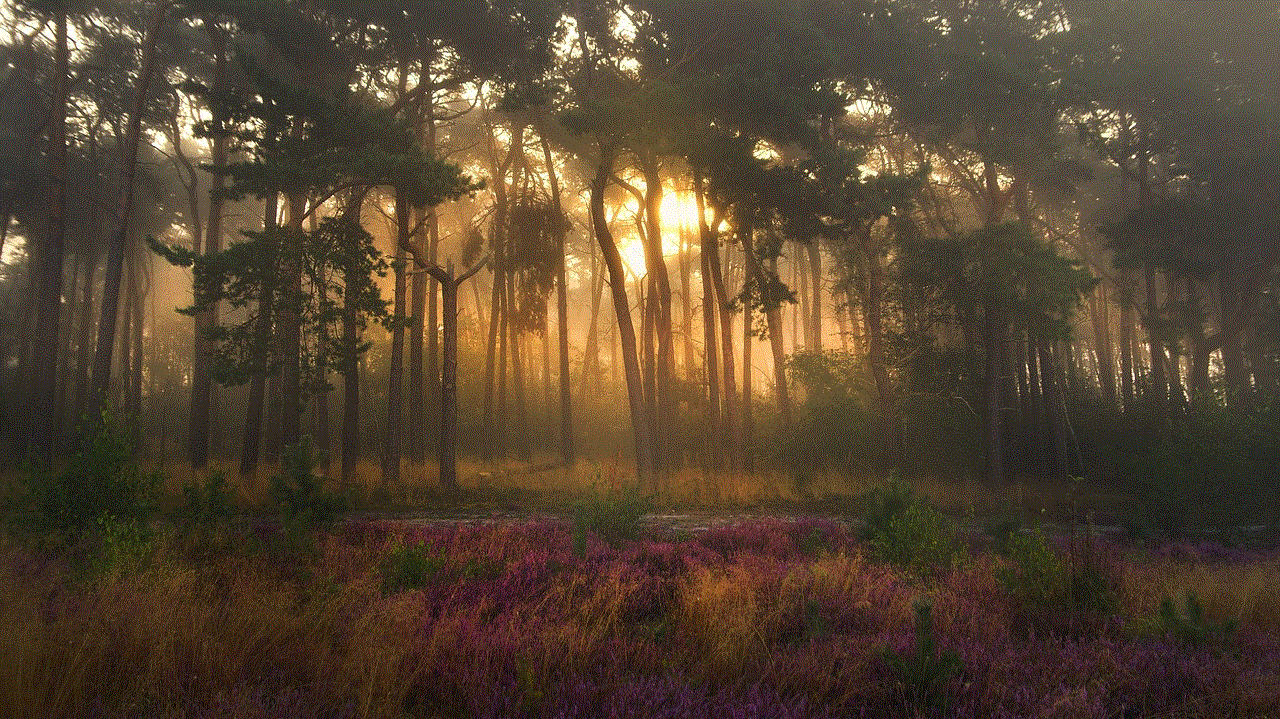 Nature Trees