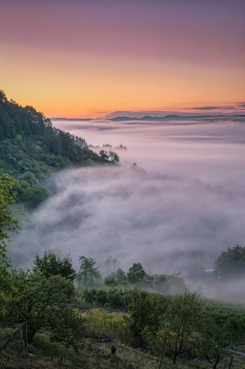 Fog Trees