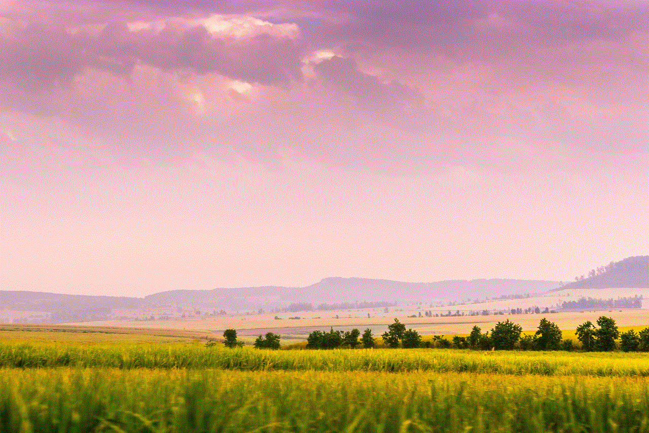 Wheat Field