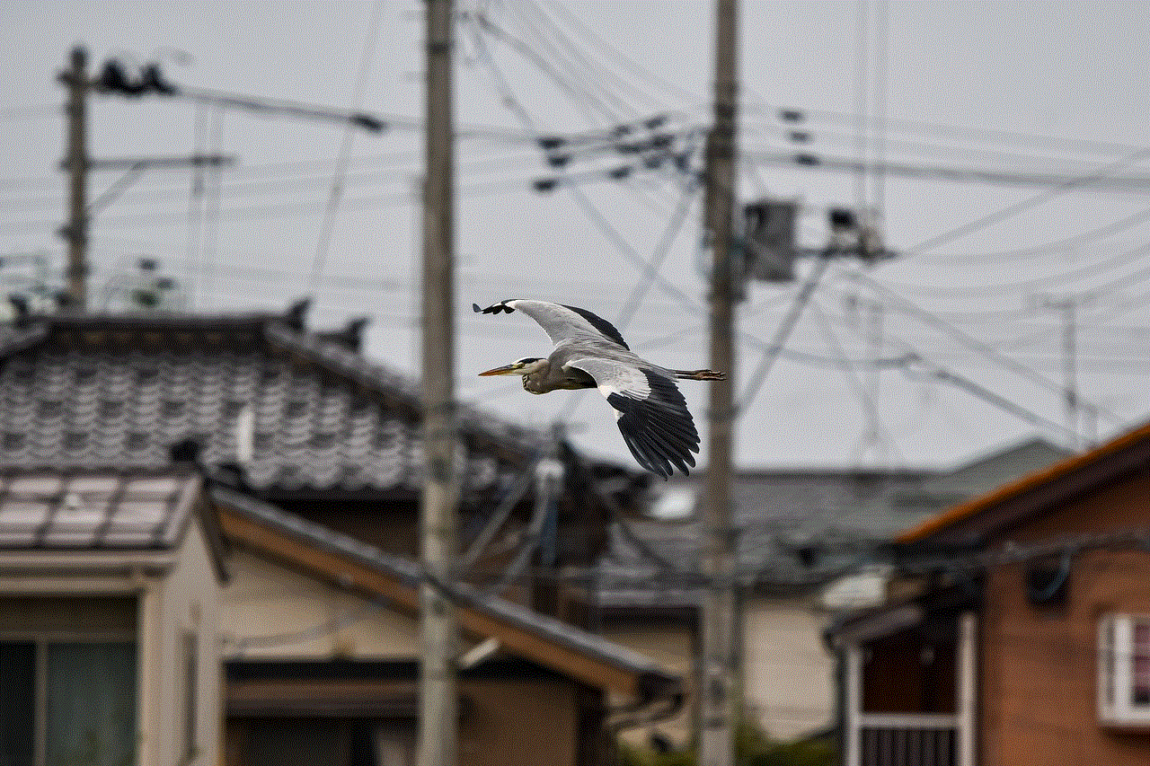 Bird Heron