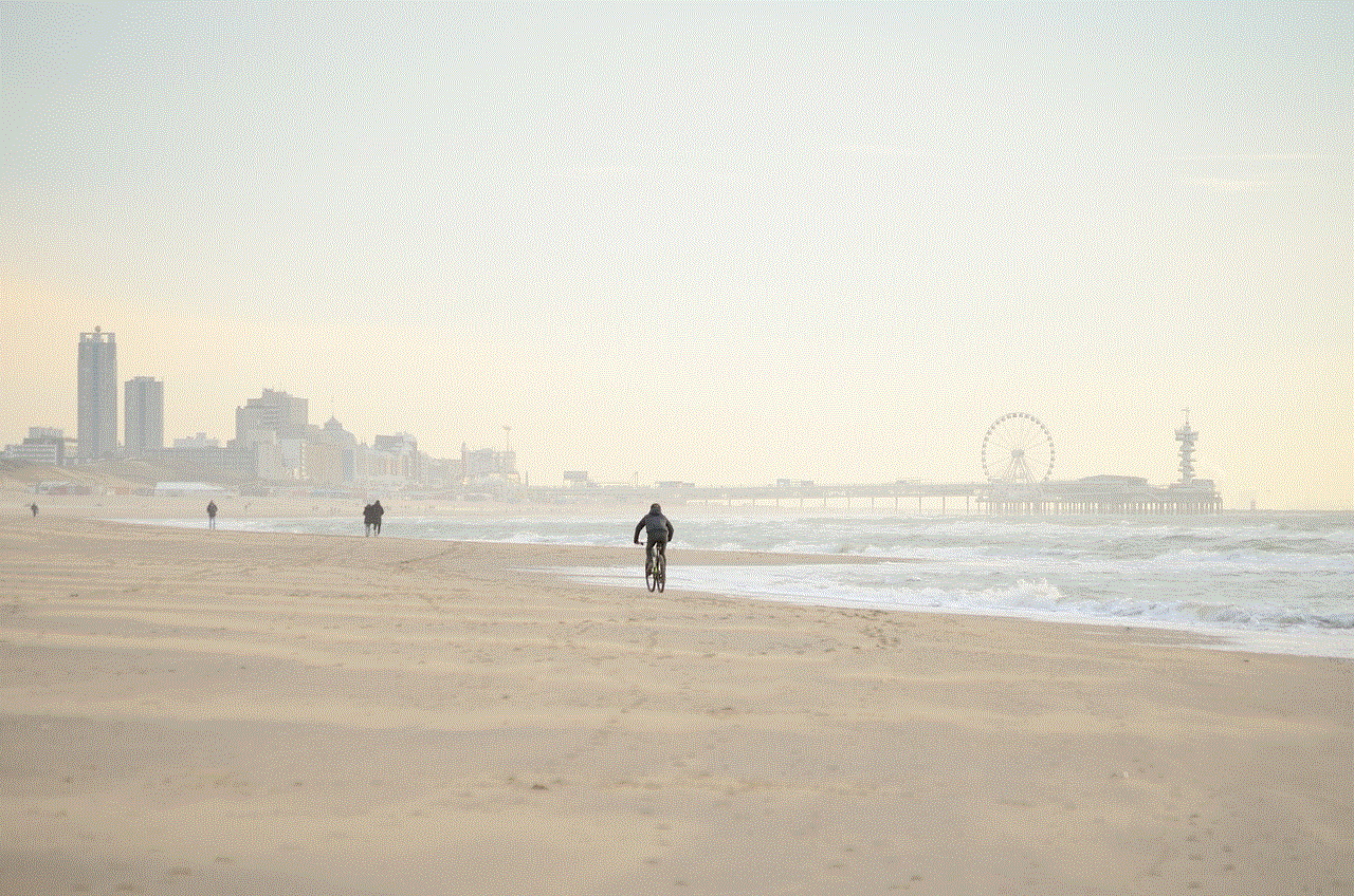 Beach Sea