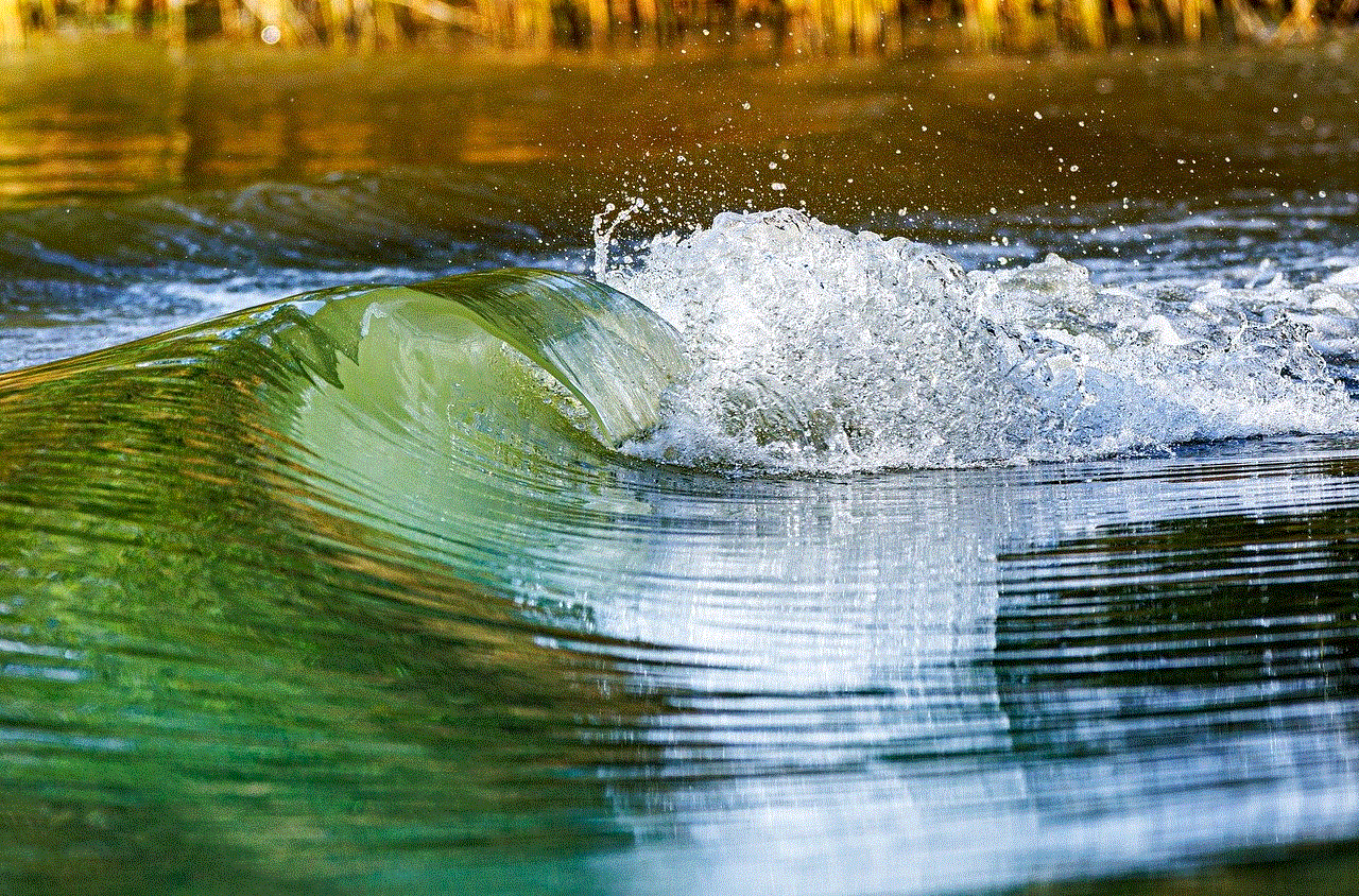 Danube River Wave