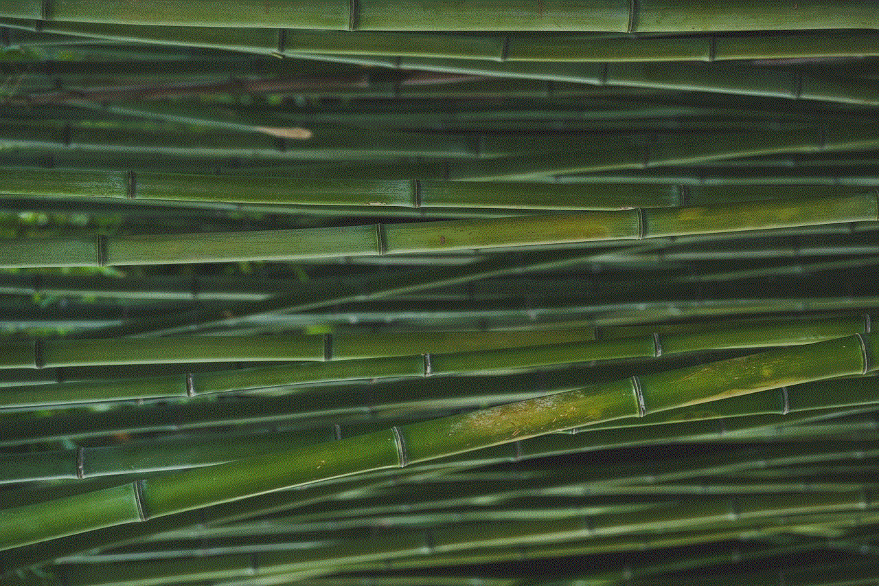 Bamboo Windows Wallpaper