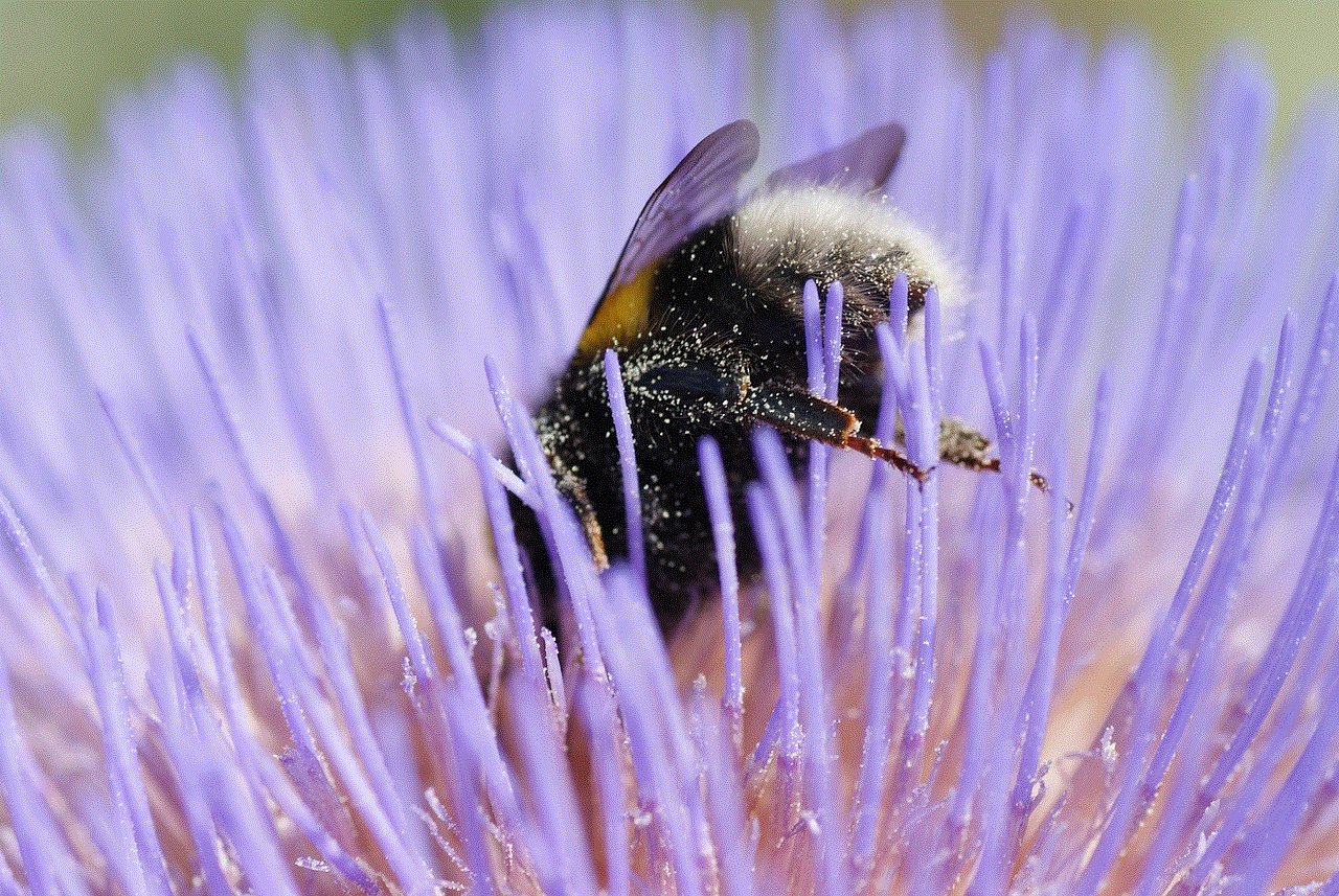 Bumblebee Pollination