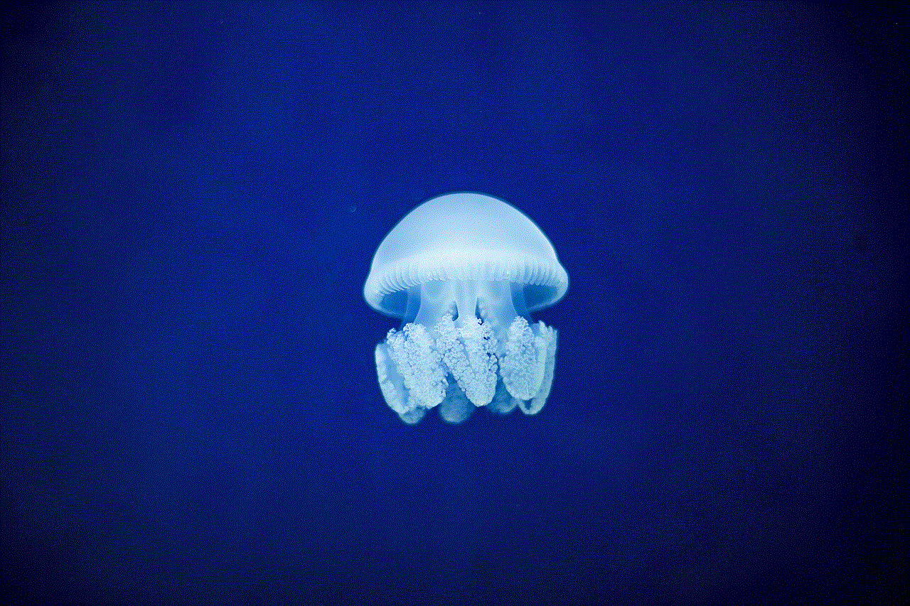 Jellyfish Sea