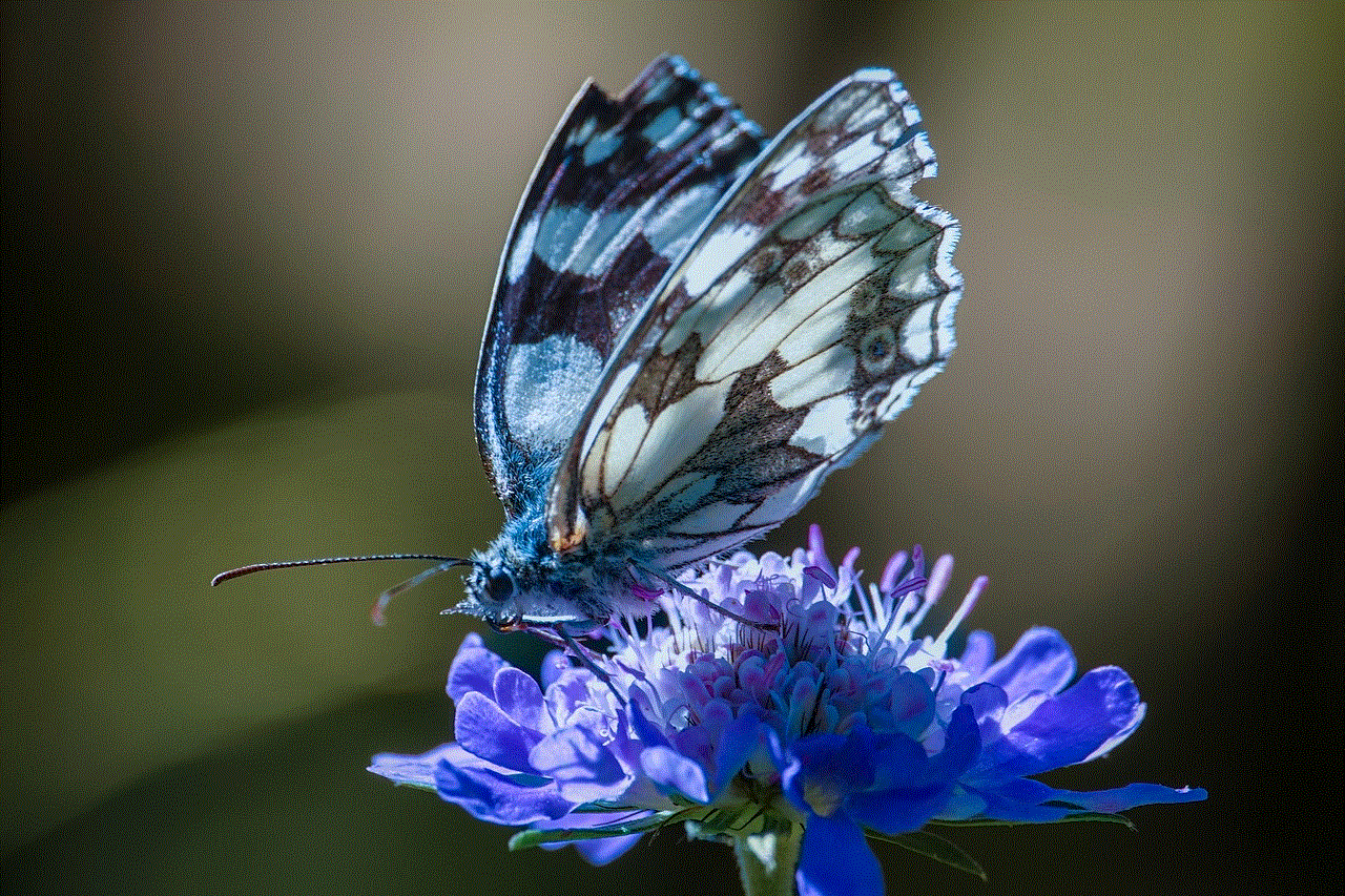 Butterfly Flower