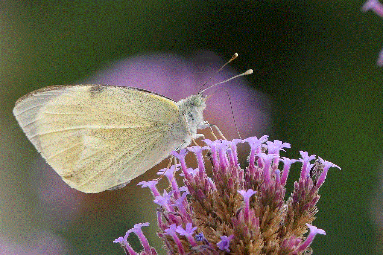 Butterfly Flower