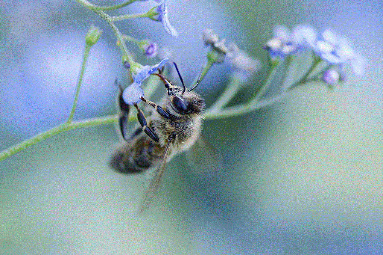 Bee Flower