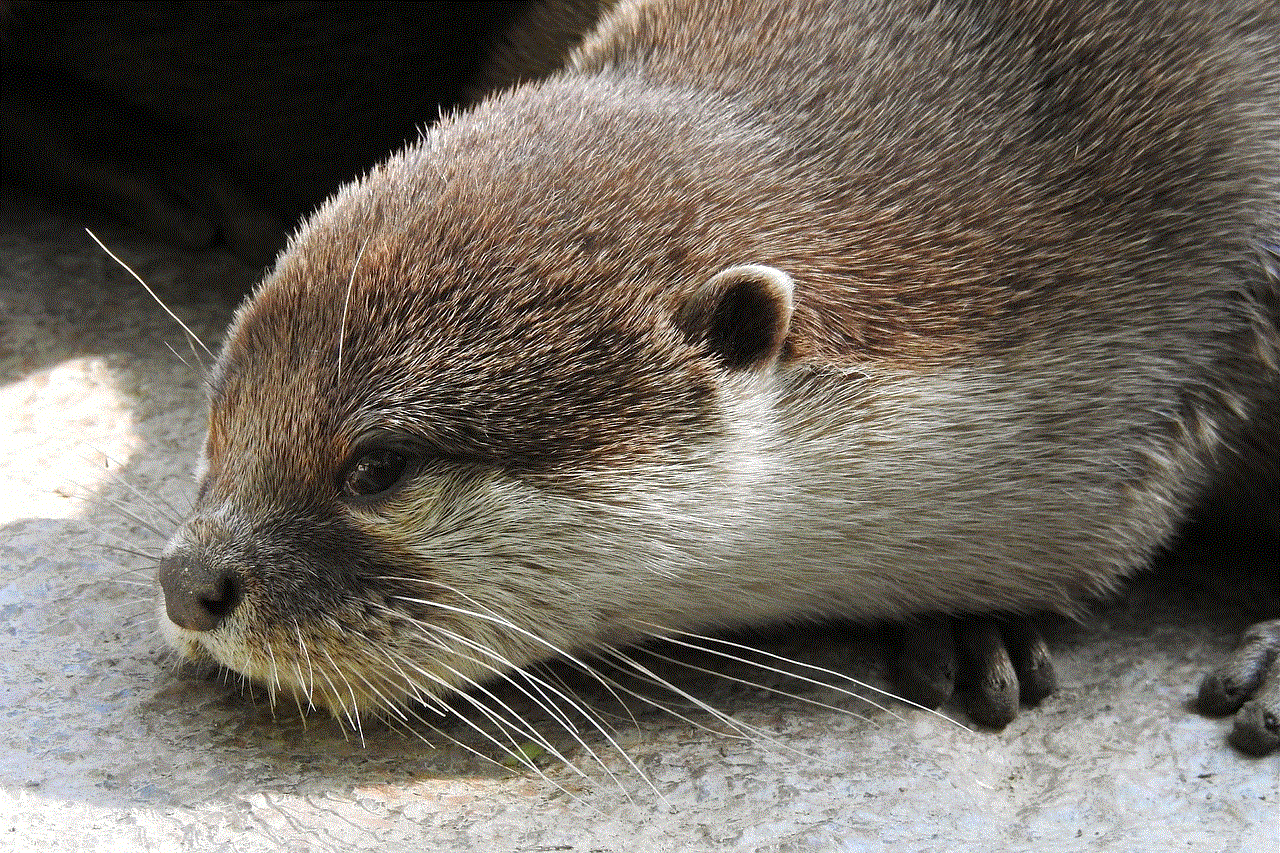 Otter Clawed Otter