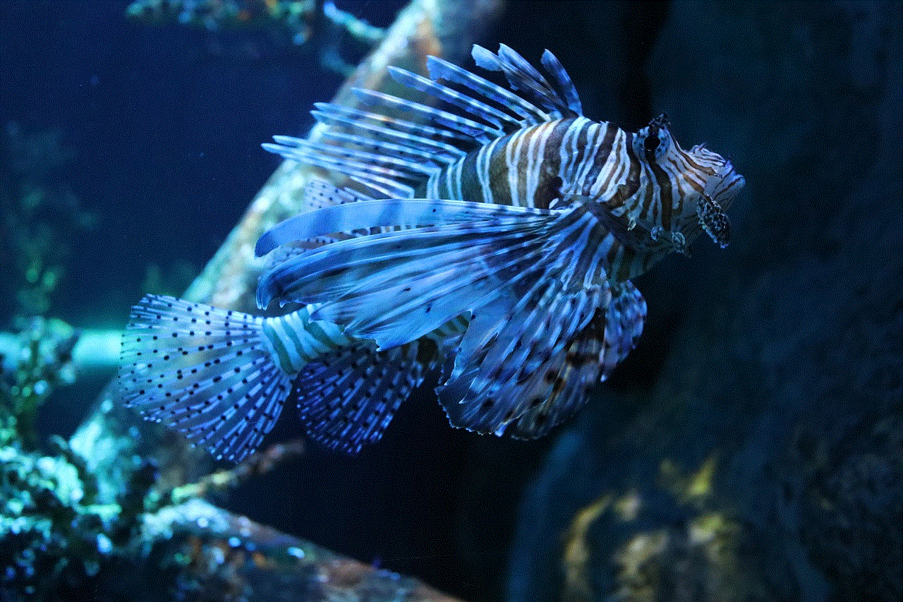 Fish Lionfish