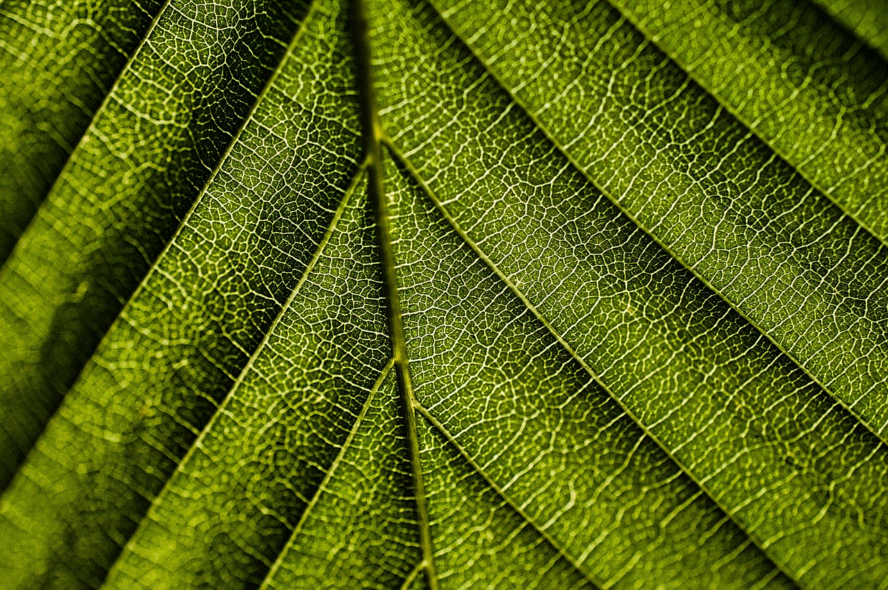 Leaf Wallpaper 4K