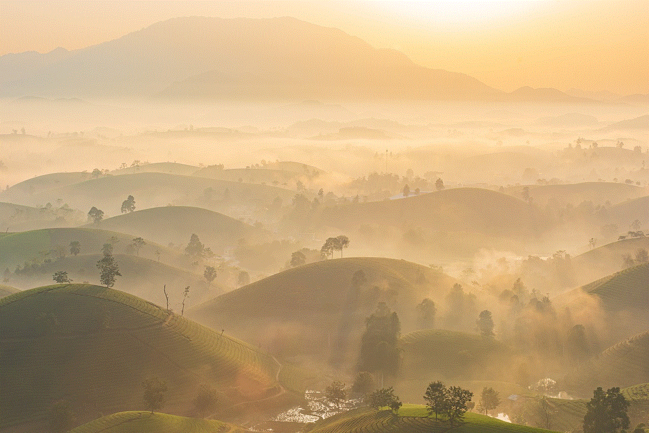 Tea Plantation Hills