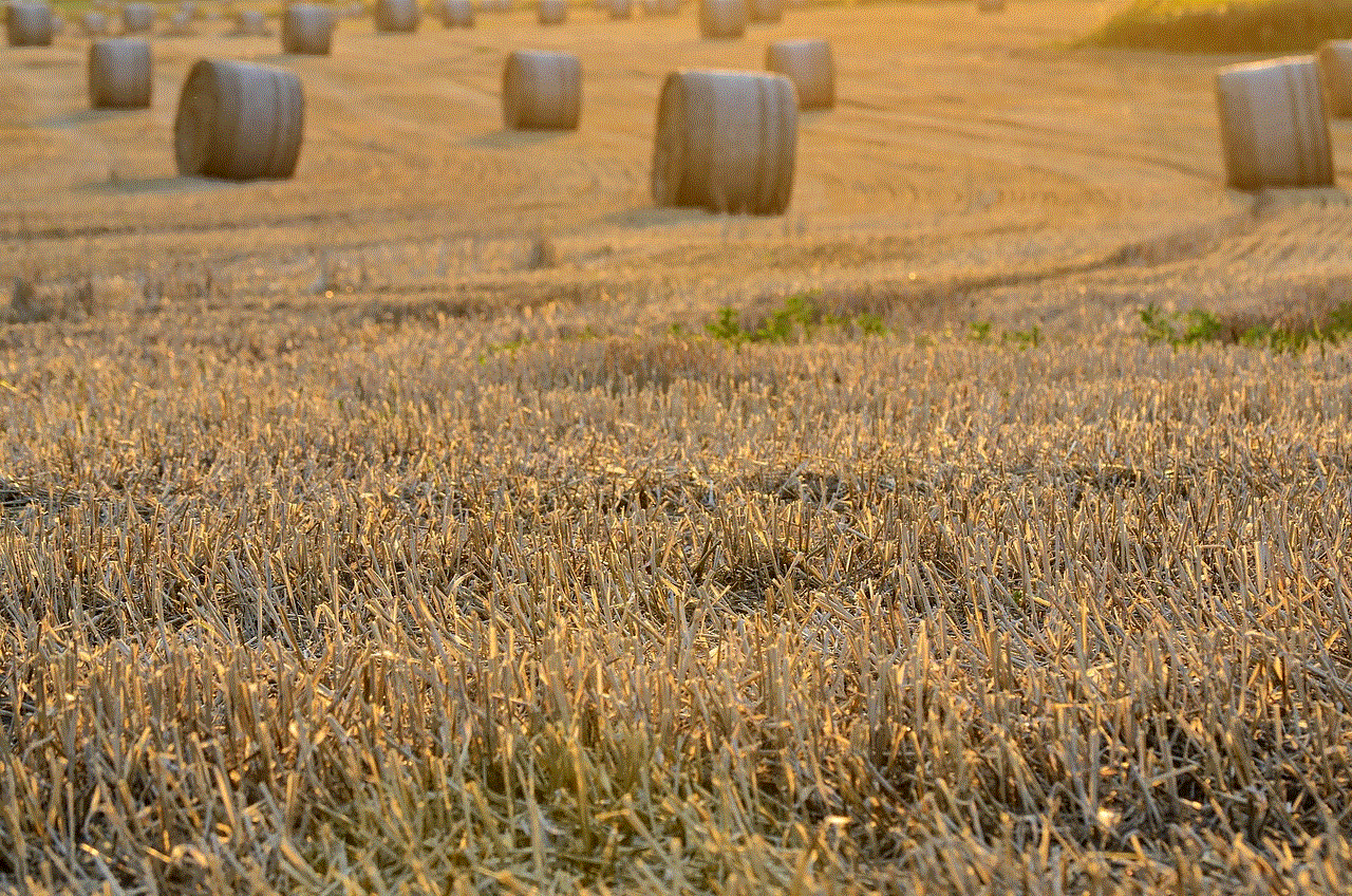 Field Harvest