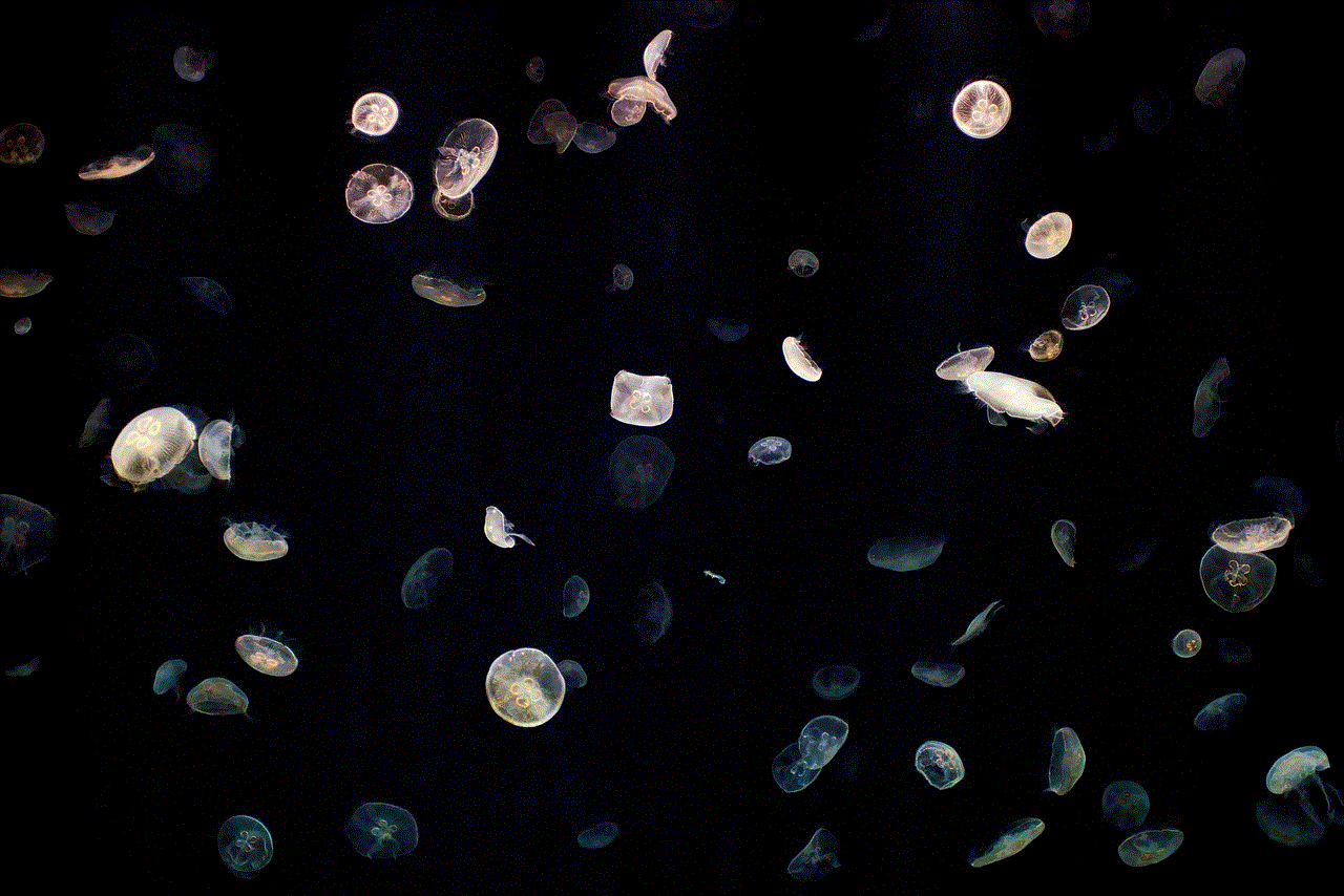 Jellyfish Sea Jellies