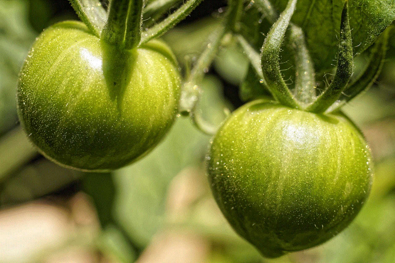 Tomatoes Green