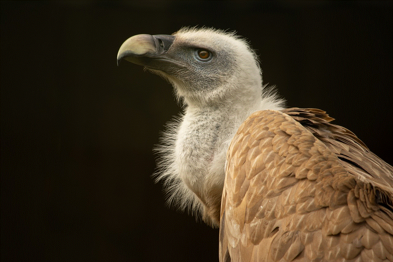 Vulture Hd Wallpaper