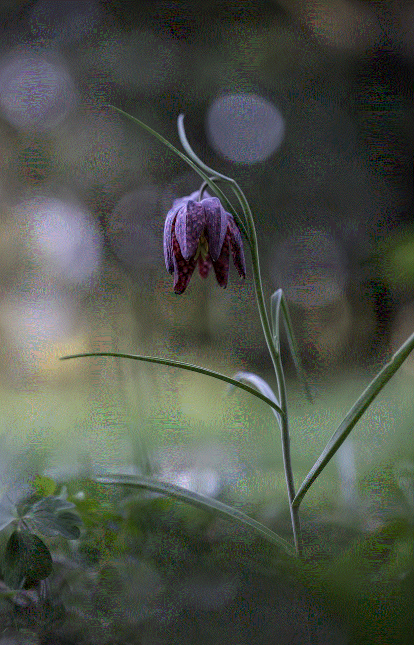 Snake'S Head Fritillary Flower