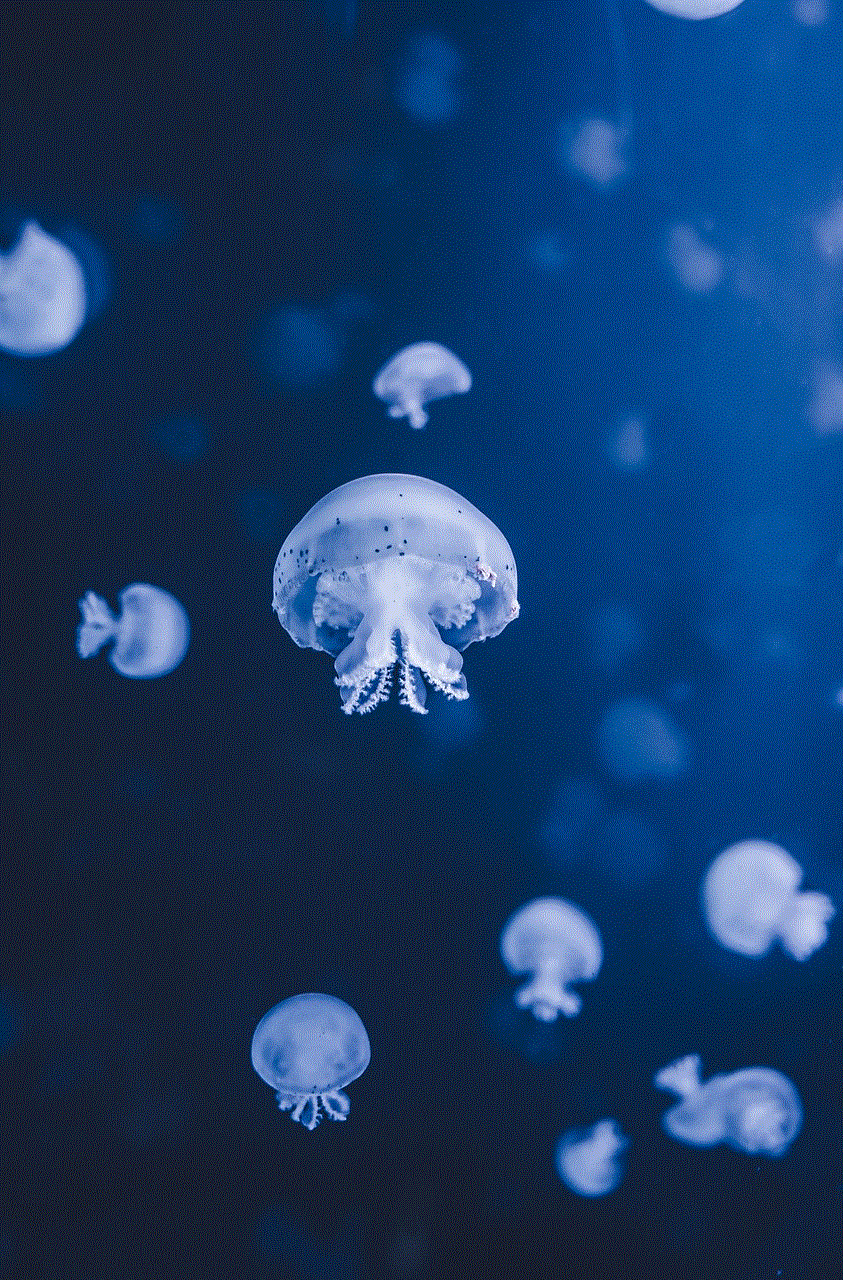 Jellyfish Sea