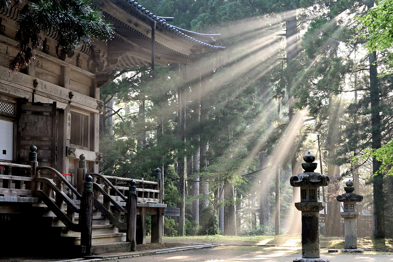 Sun Rays Forest