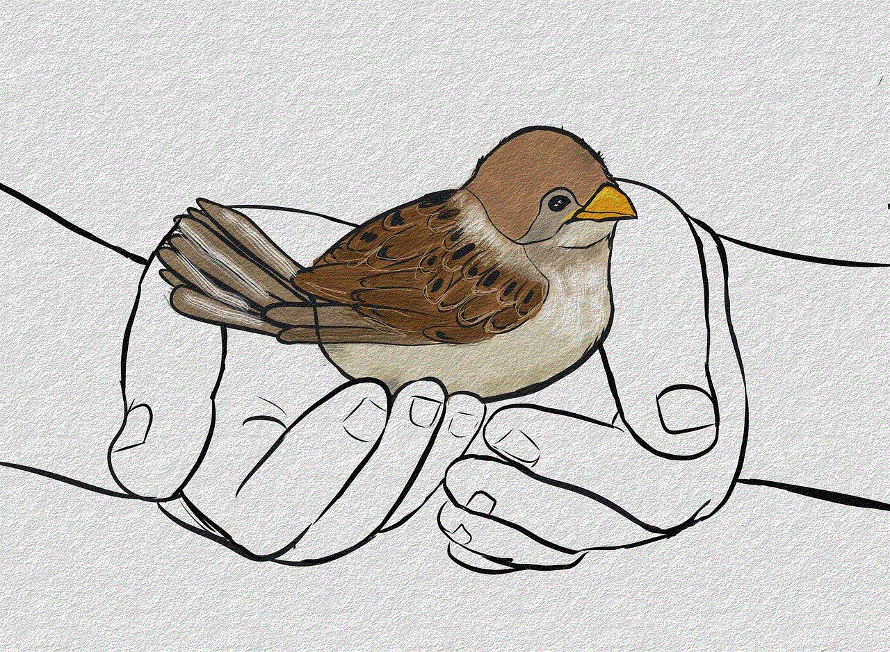 Sparrow Bird