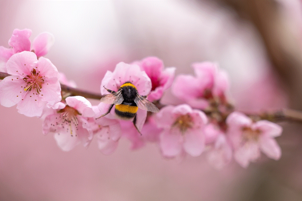 Bee Peach Blossoms