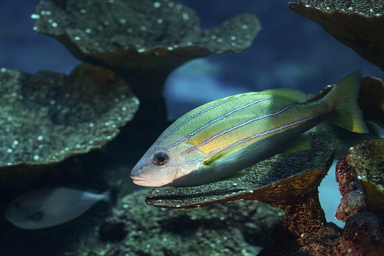 Fish Sea Fish Sea