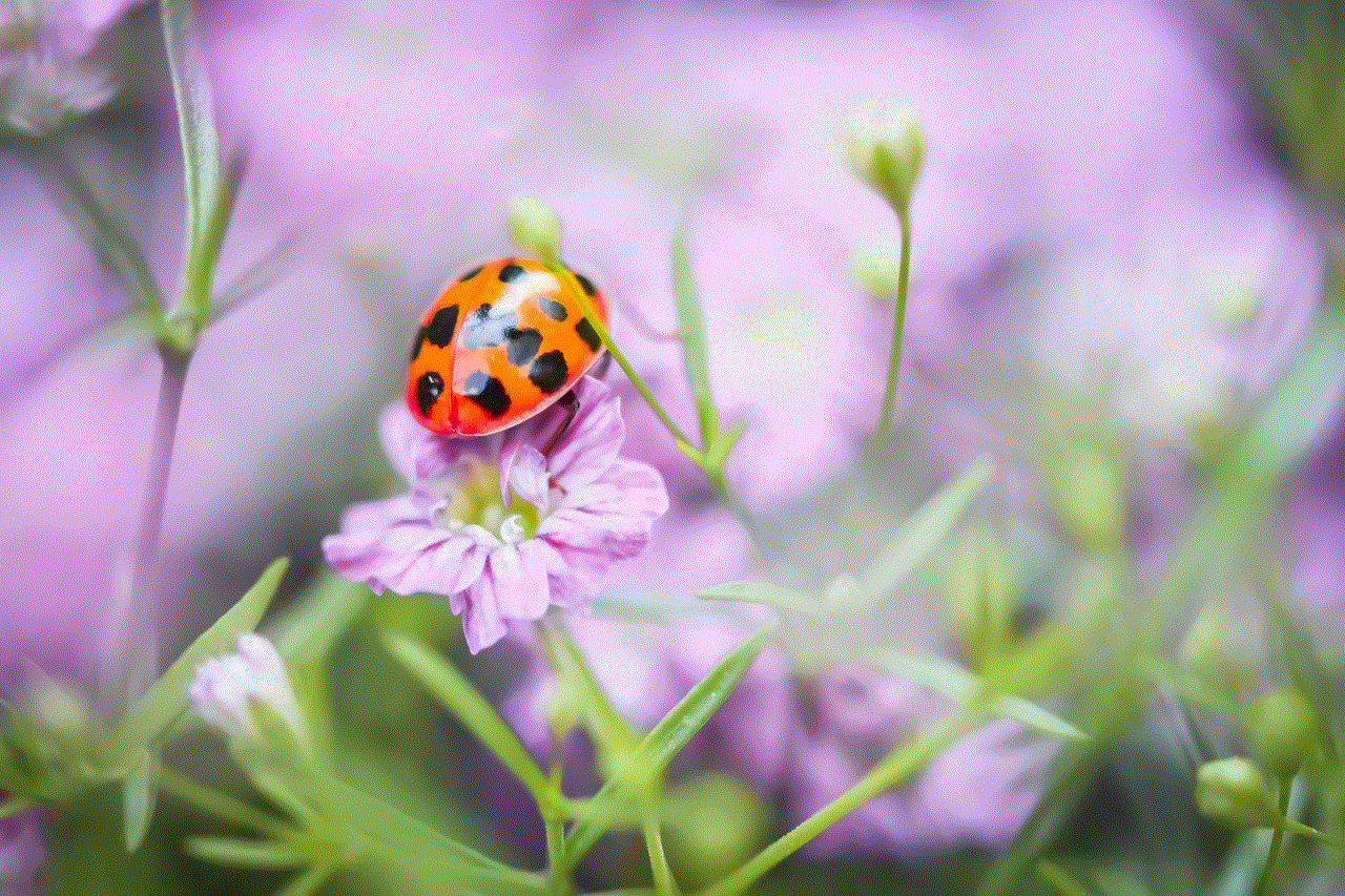 Ladybug Flower