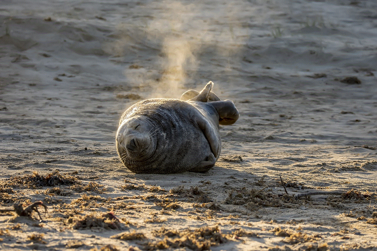 Grey Seal Seal