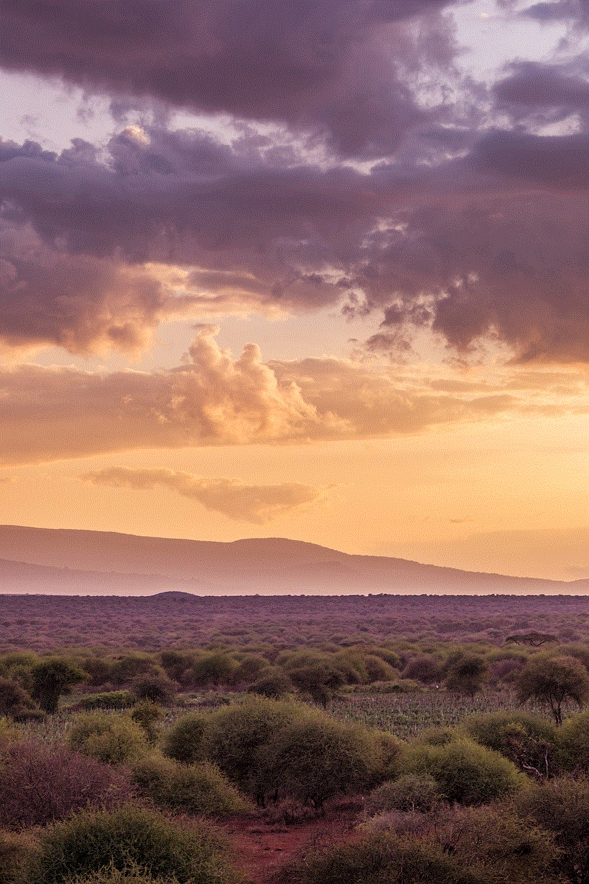 Mount Kilimanjaro Mountain