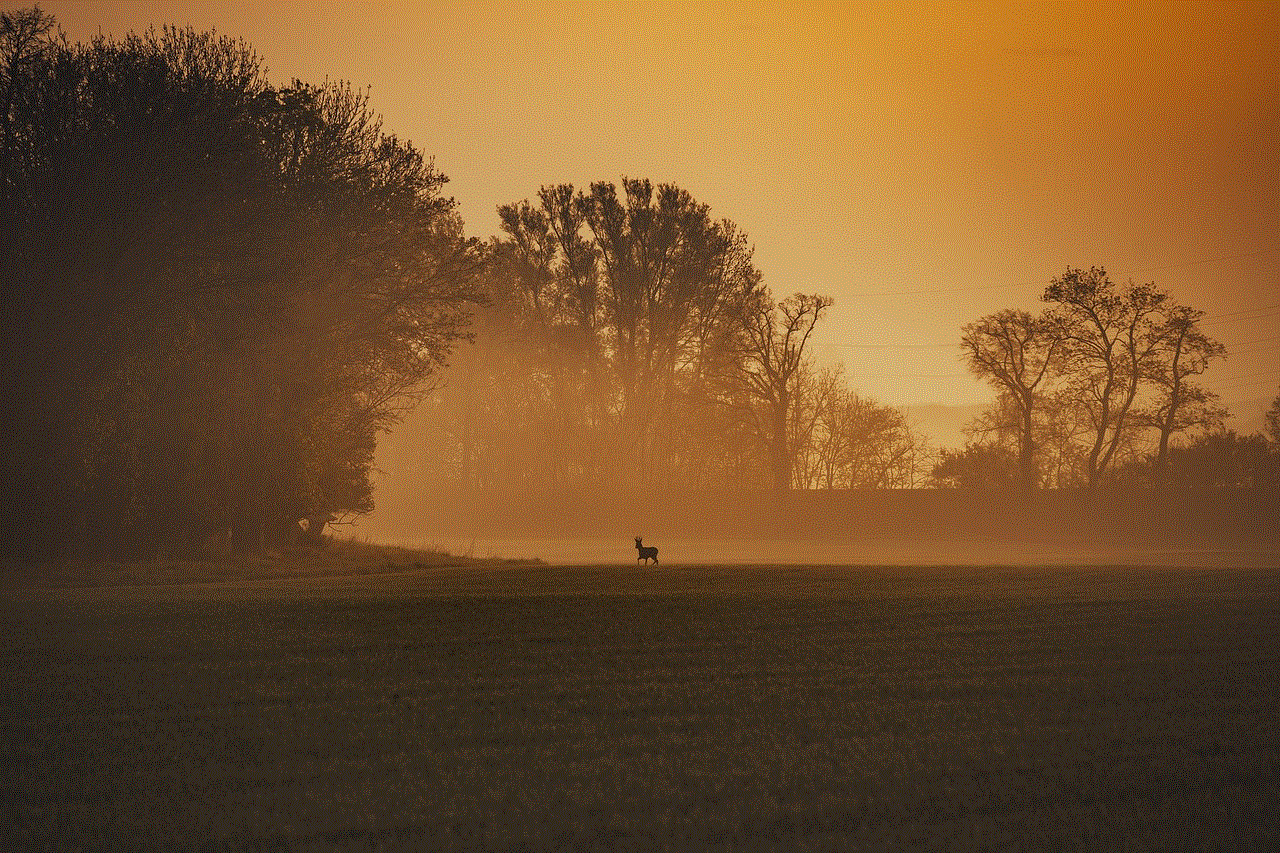 Deer Sunset