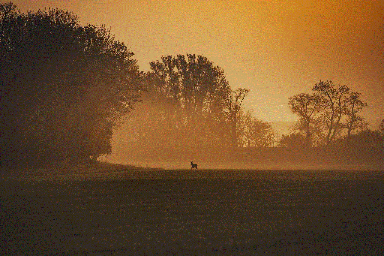 Deer Sunset Deer Sunset