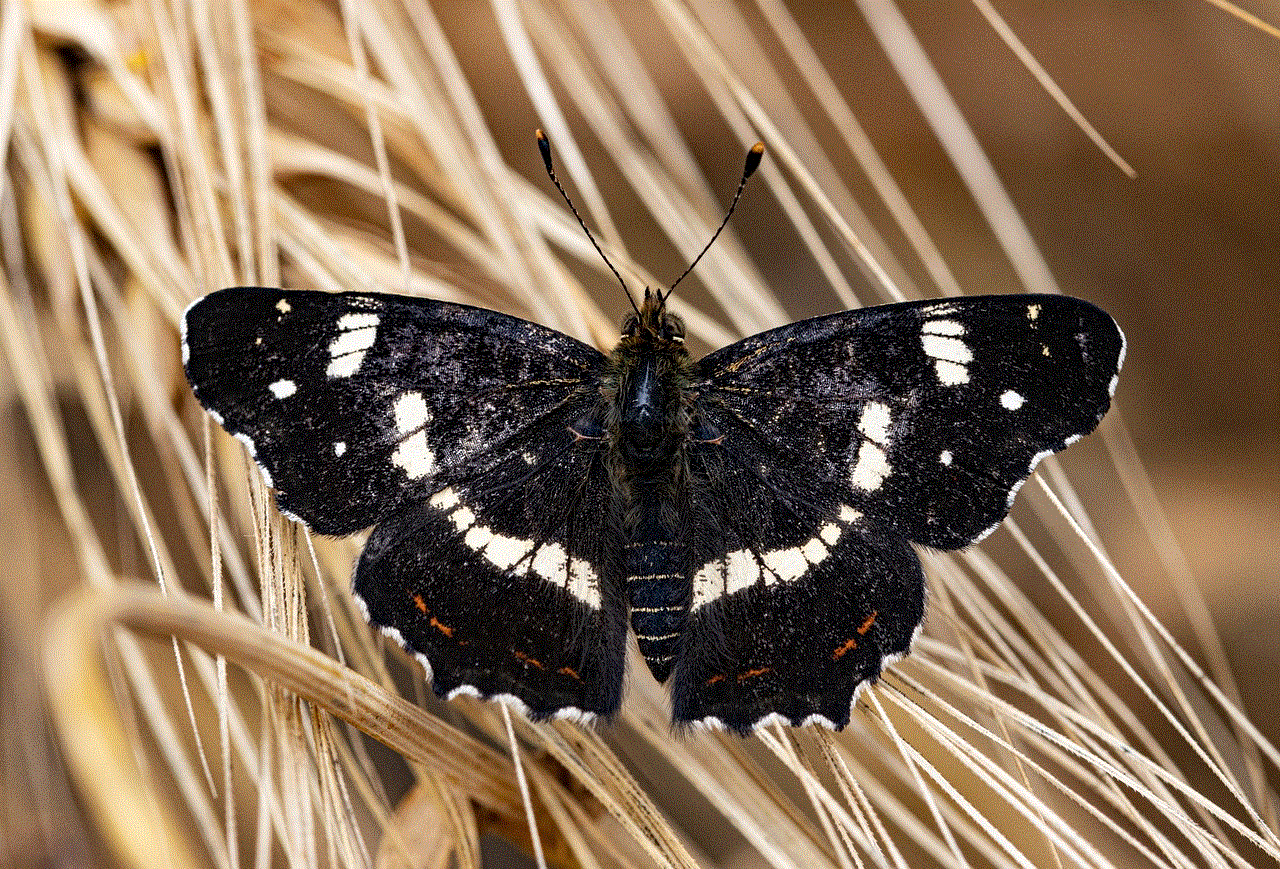 Butterfly Barley