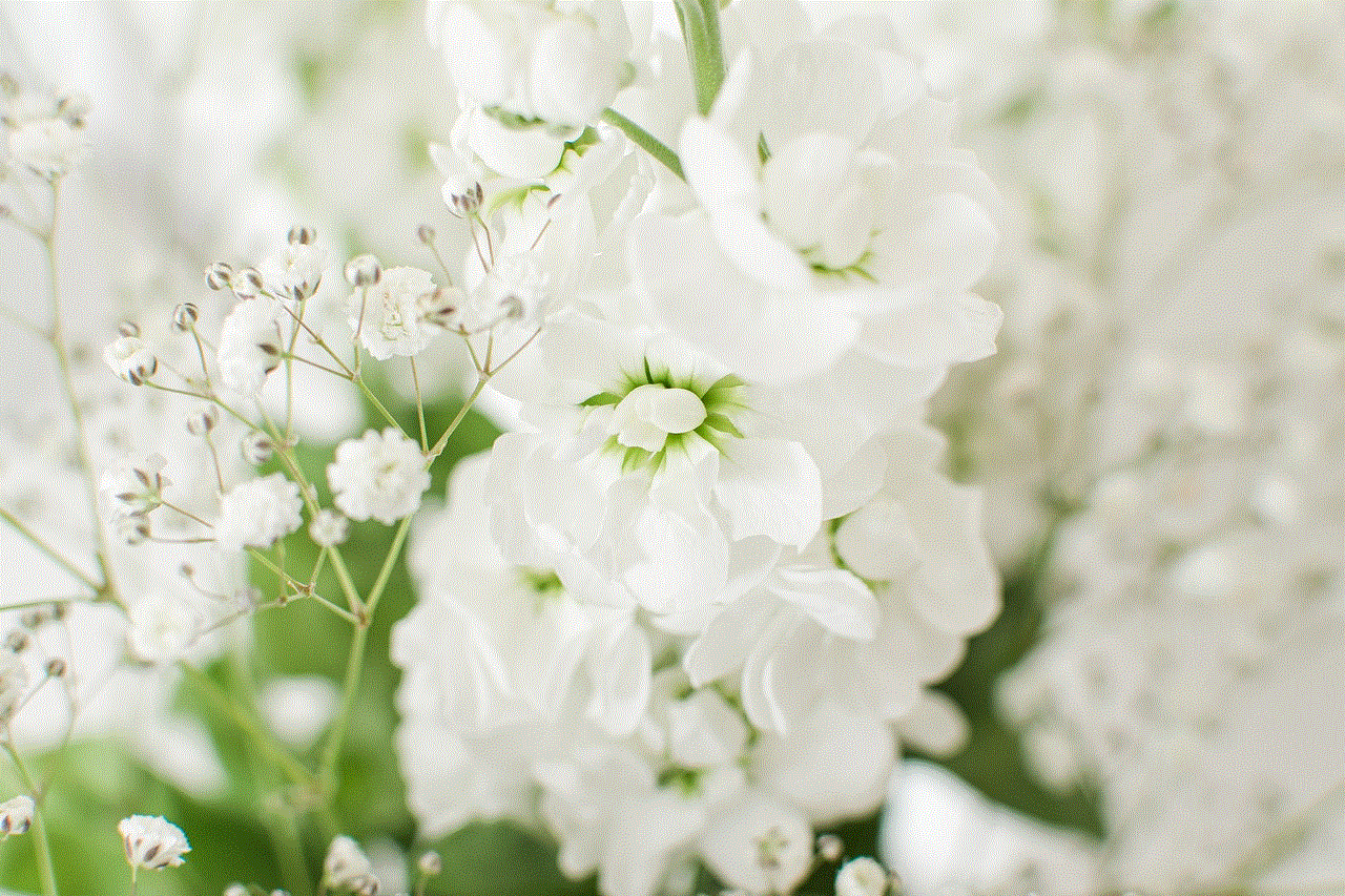 White Flowers