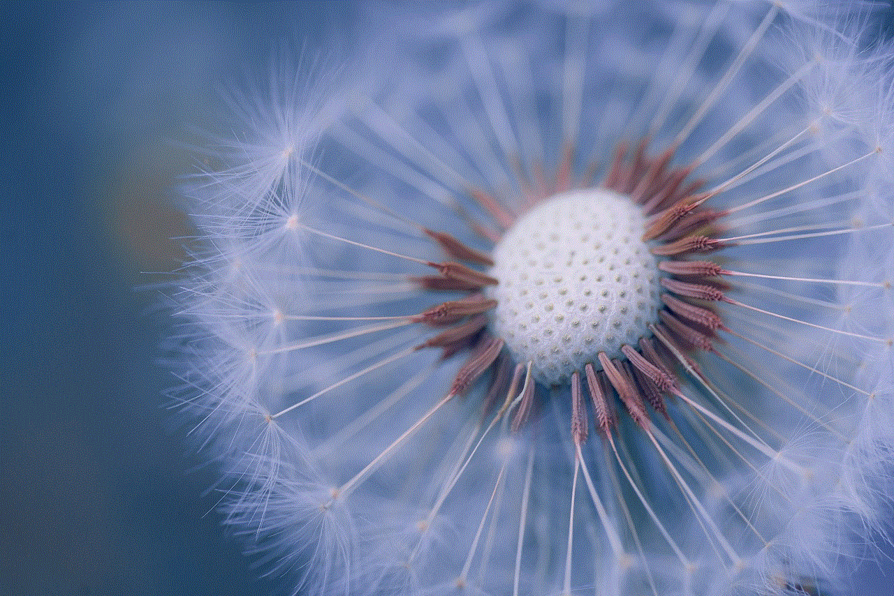 Dandelion Flower