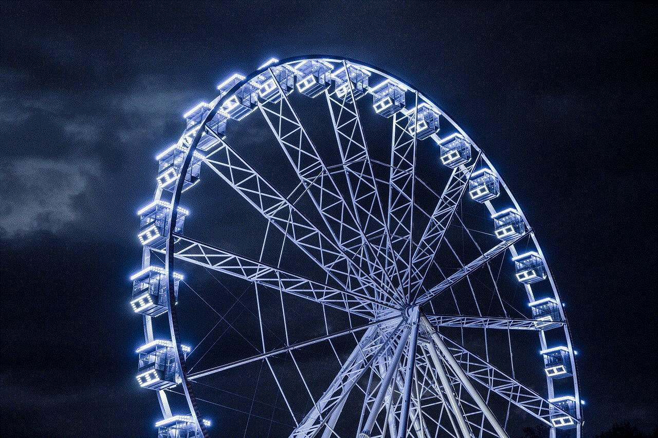 Ferris Wheel Amusement Park