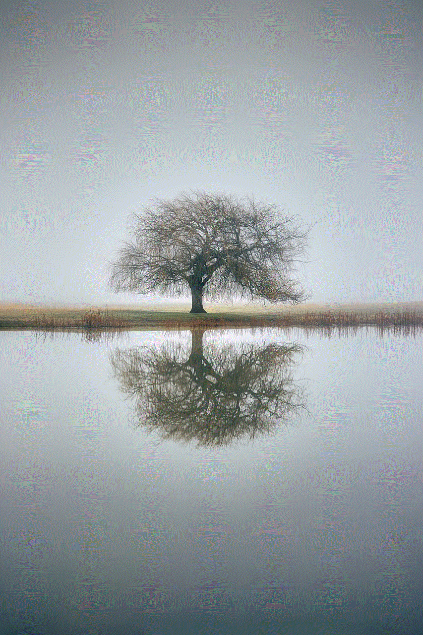 Tree Reflection