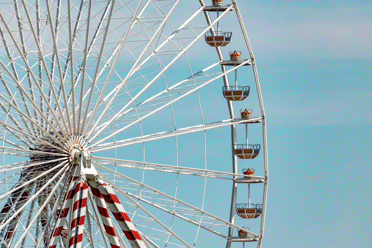 Ferris Wheel Fair