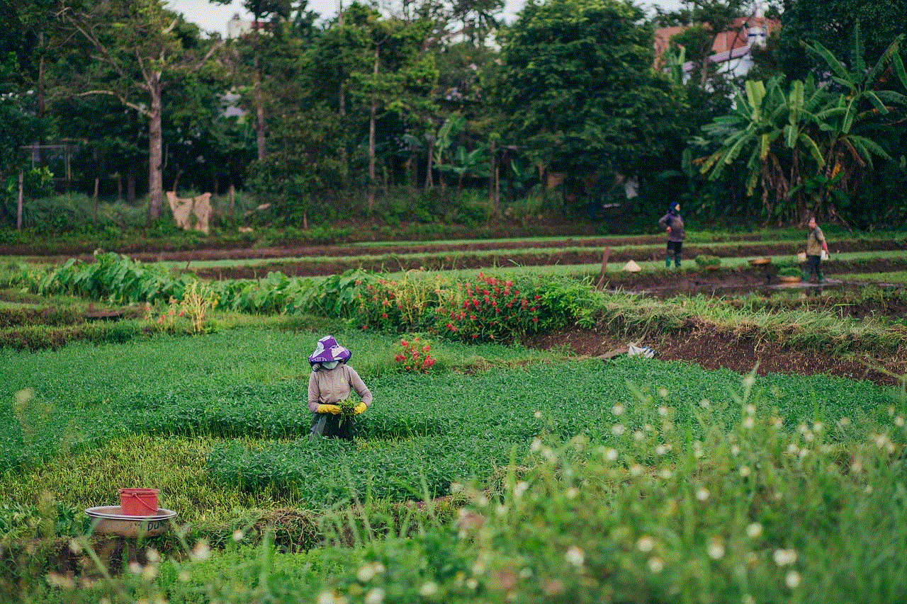 Countryside Harvest