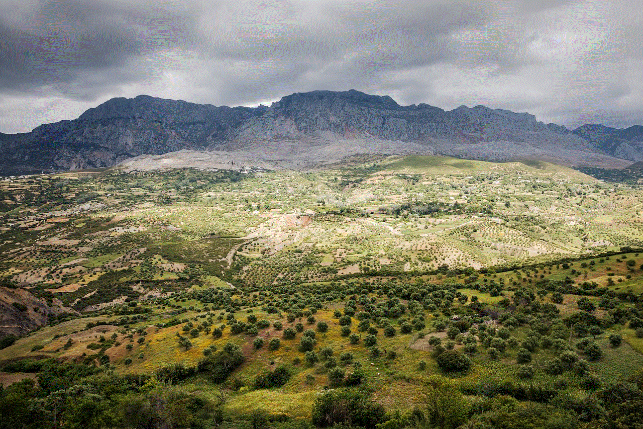 Mountains Forest