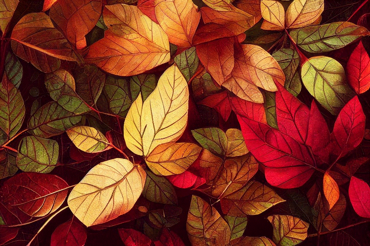 Leaves Autumn